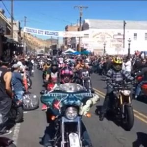 Meet your Posher, Dani